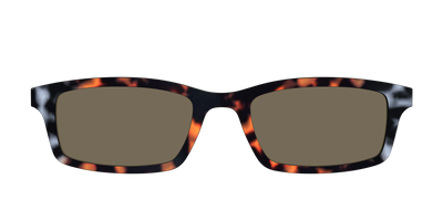 The Polarized Gray & Amber Tortoise Sun Top - Front Top Thumbnail - Pair Eyewear