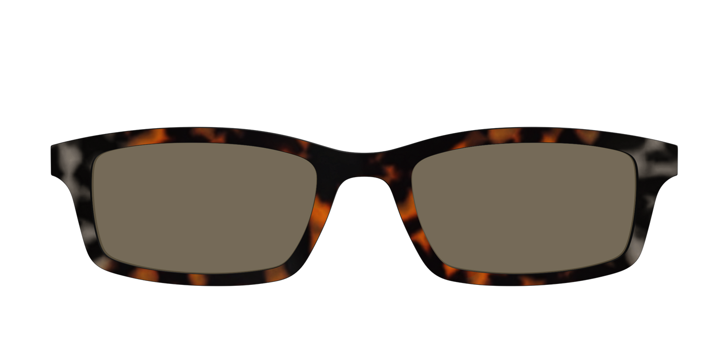 The Polarized Gray & Amber Tortoise Sun Top - Front Top Image - Pair Eyewear
