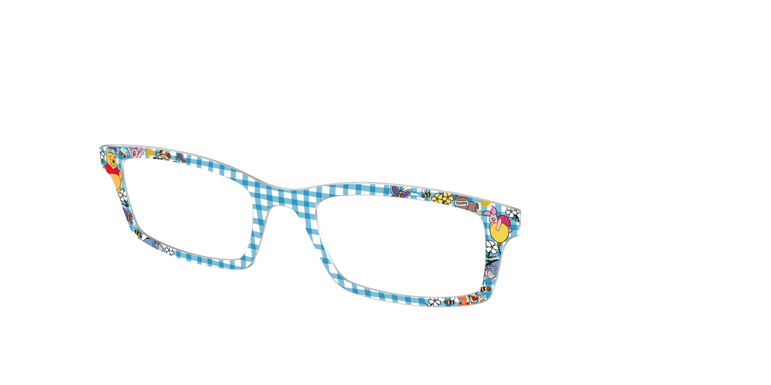 Pooh's Perfect Picnic - Angle Top Image - Pair Eyewear