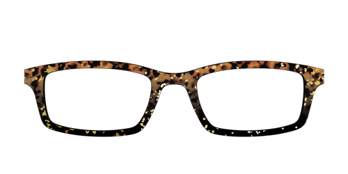 The Rustic Gold Leaf Tortoise - Pair Eyewear