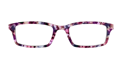 The Spring Stone Tortoise - Pair Eyewear