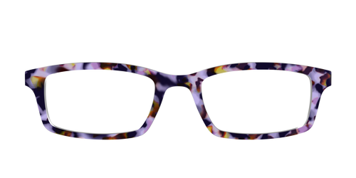 The Wildberry Tortoise - Pair Eyewear
