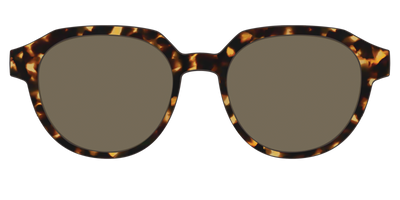 The Polarized Tortoise Sun Top - Front Top Thumbnail - Pair Eyewear
