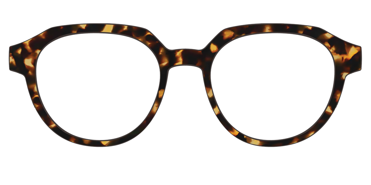 The Tortoise - Front Top Image - Pair Eyewear