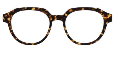 The Tortoise - Front Top Thumbnail - Pair Eyewear