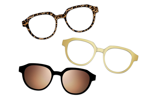 Vintage Brown Tortoise with Gold Set - Pair Eyewear