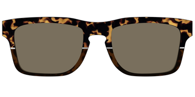 The Polarized Chic Tortoise Split Sun Top - Front Top Thumbnail - Pair Eyewear