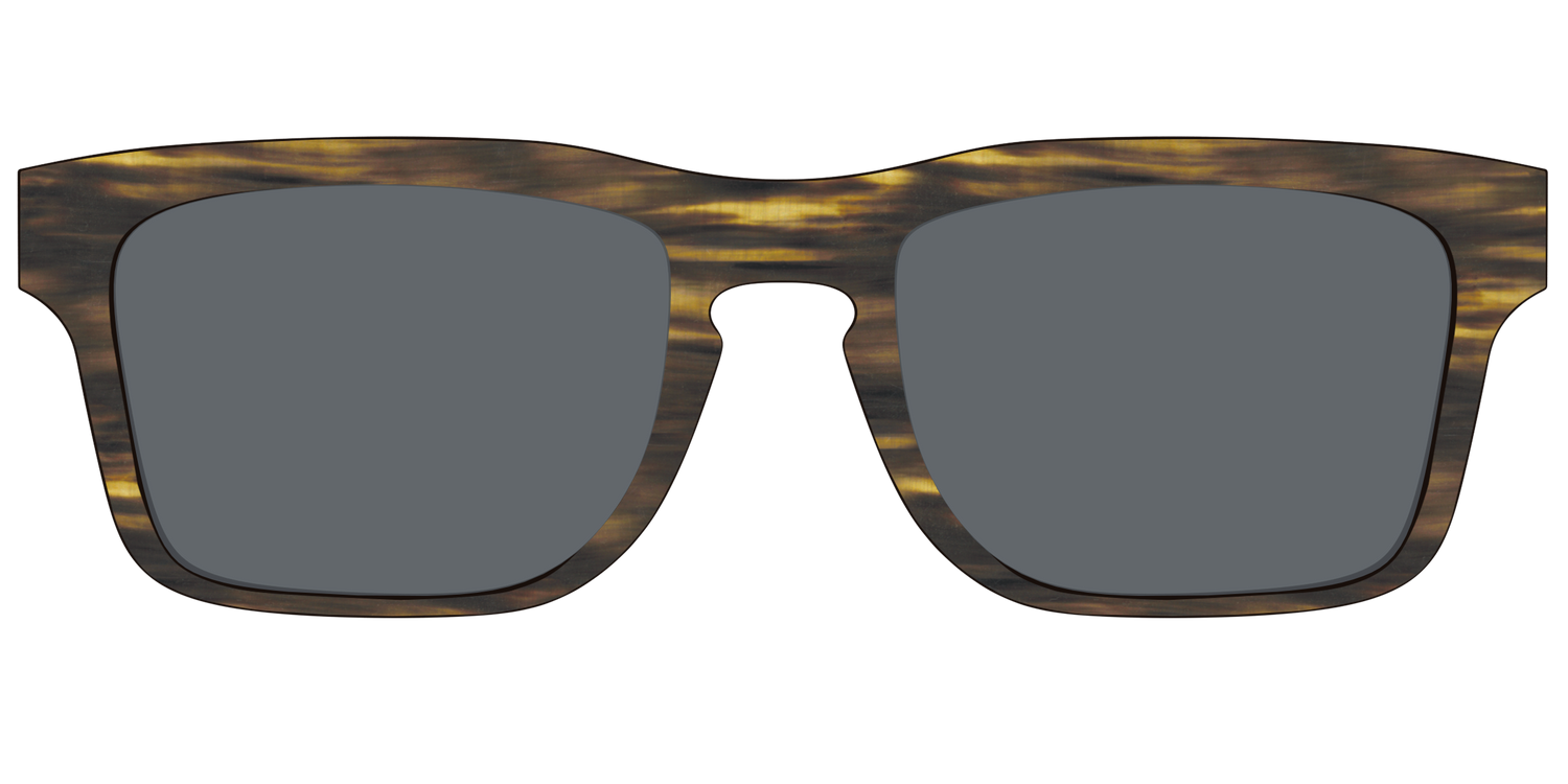 The Polarized Horn Sun Top - Front Top Image - Pair Eyewear