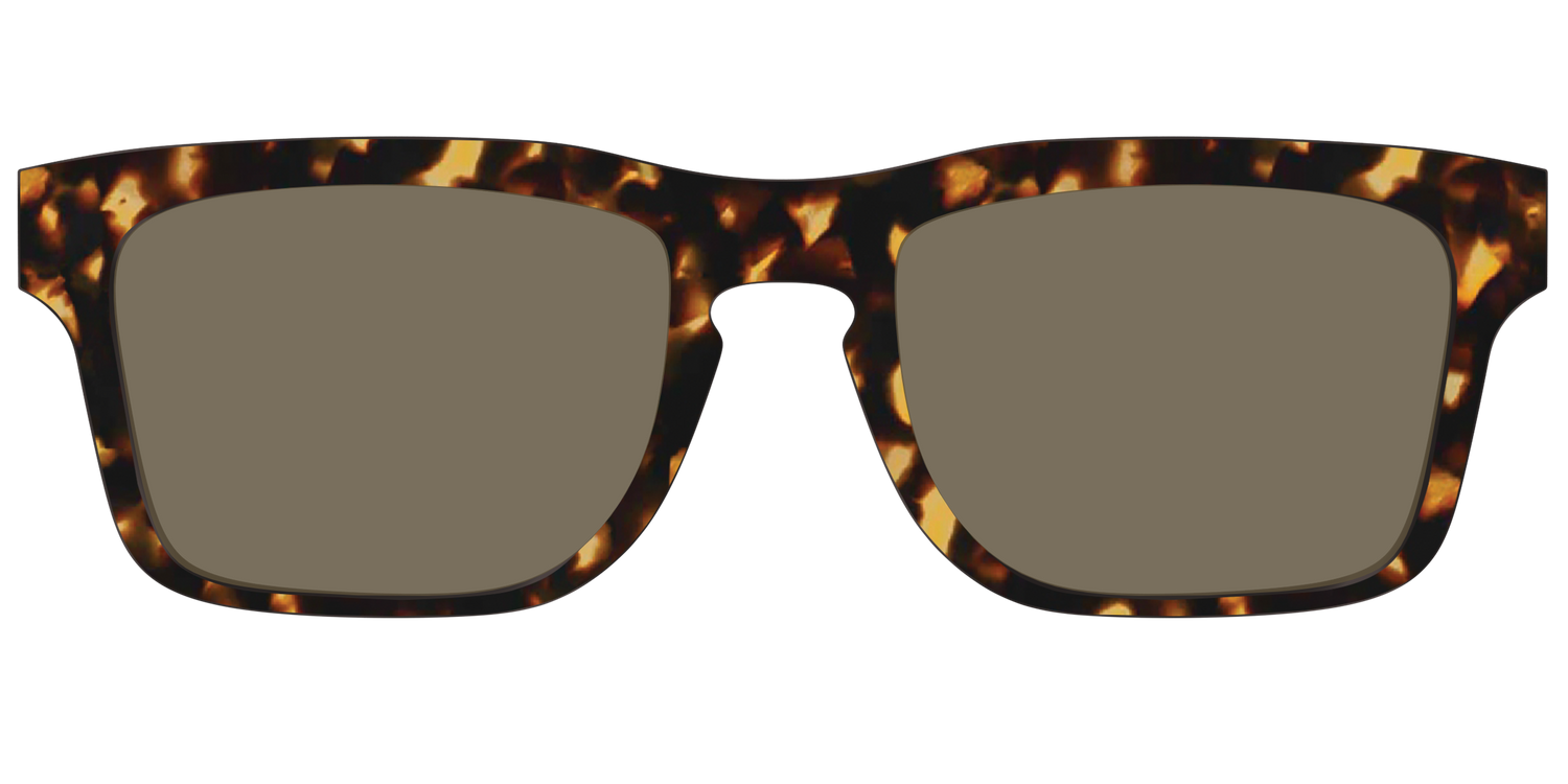 The Non-Polarized Tortoise Sun Top - Front Top Image - Pair Eyewear