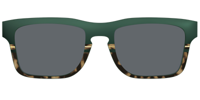 The Polarized Spruce Tortoise Sun Top - Front Top Thumbnail - Pair Eyewear