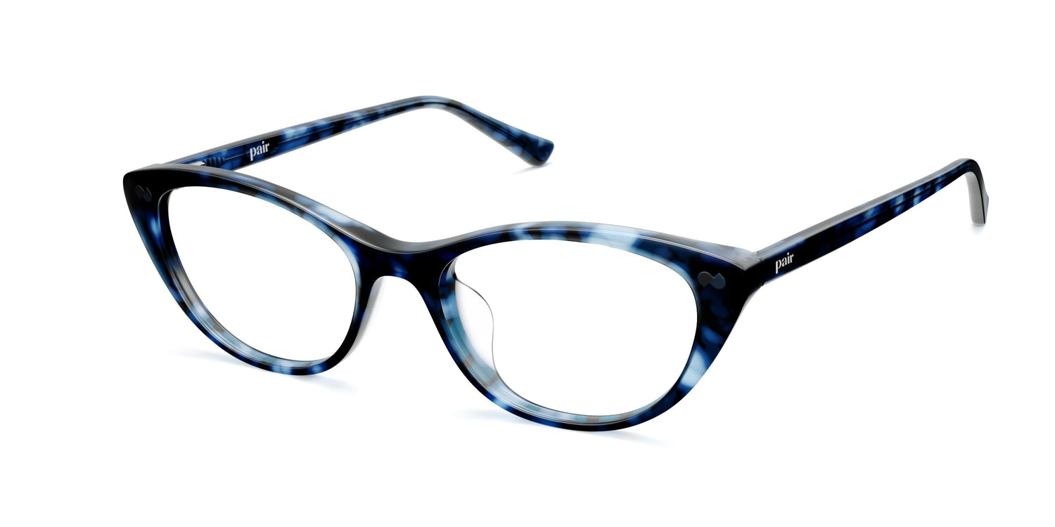 blue tortoise