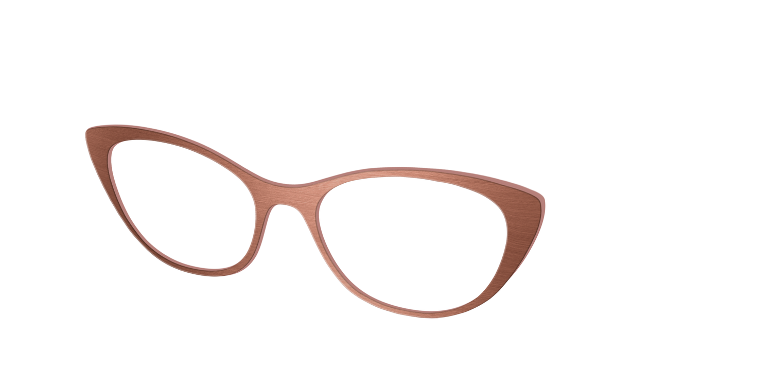 The Brushed Champagne - Angle Top Image - Pair Eyewear