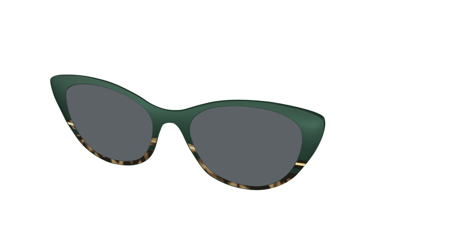 The Polarized Spruce Tortoise Sun Top - Angle Top Image - Pair Eyewear