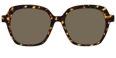 The Polarized Tortoise Sun Top - Front Top Thumbnail - Pair Eyewear