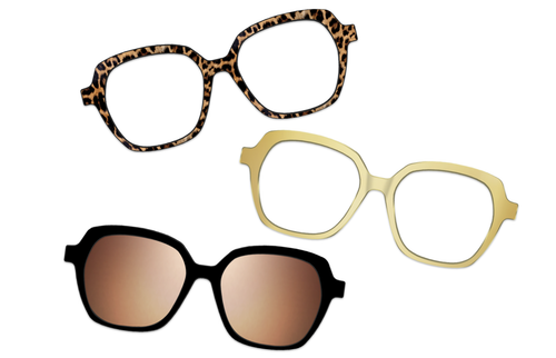 Vintage Brown Tortoise with Gold Set - Pair Eyewear