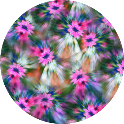 The Darling Bouquets