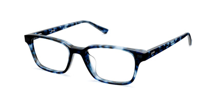 blue tortoise