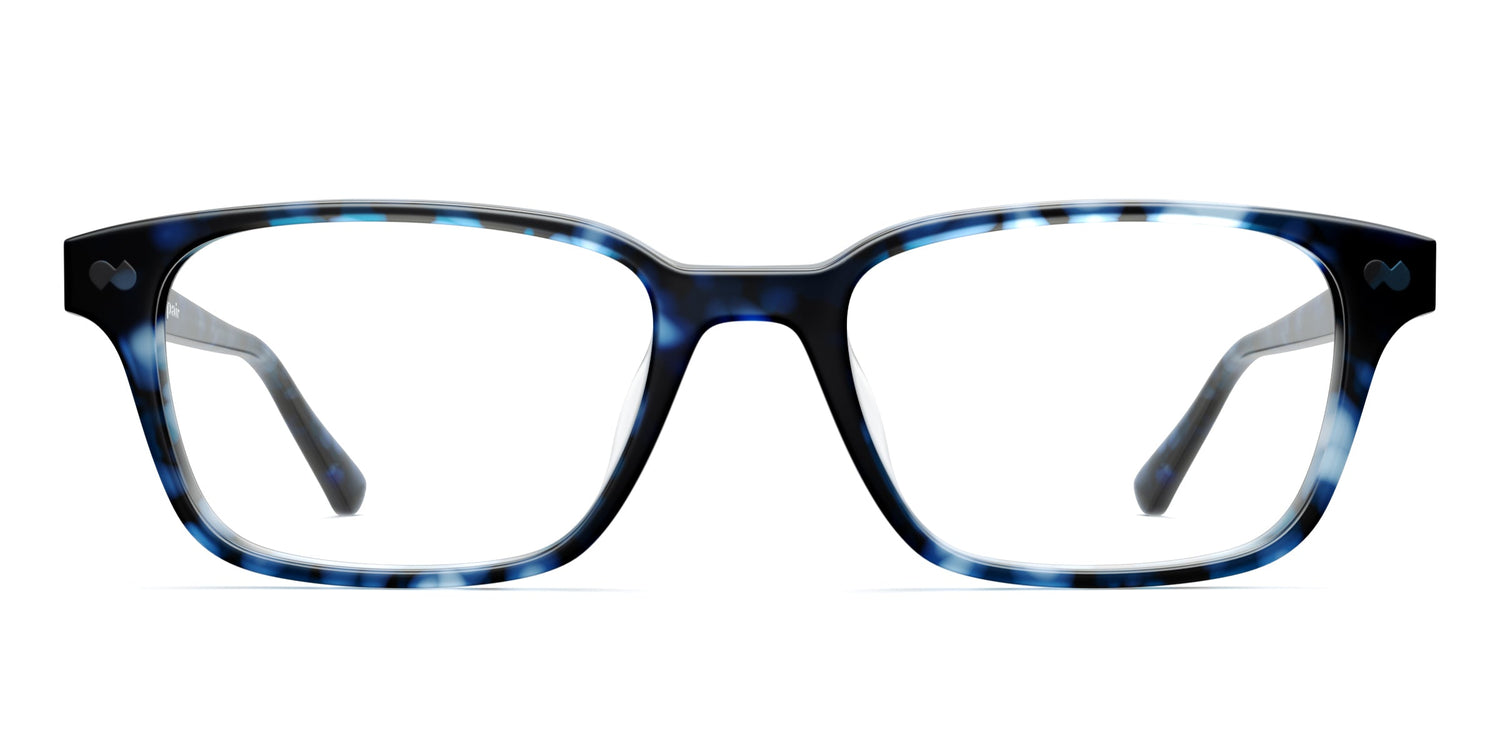 blue tortoise