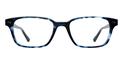 blue tortoise