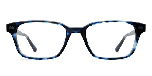 blue tortoise