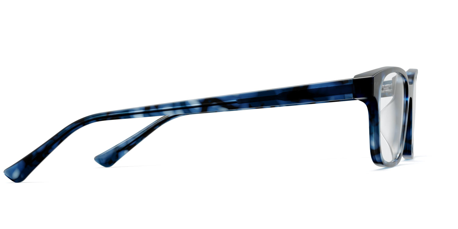 blue tortoise
