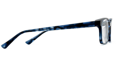 blue tortoise