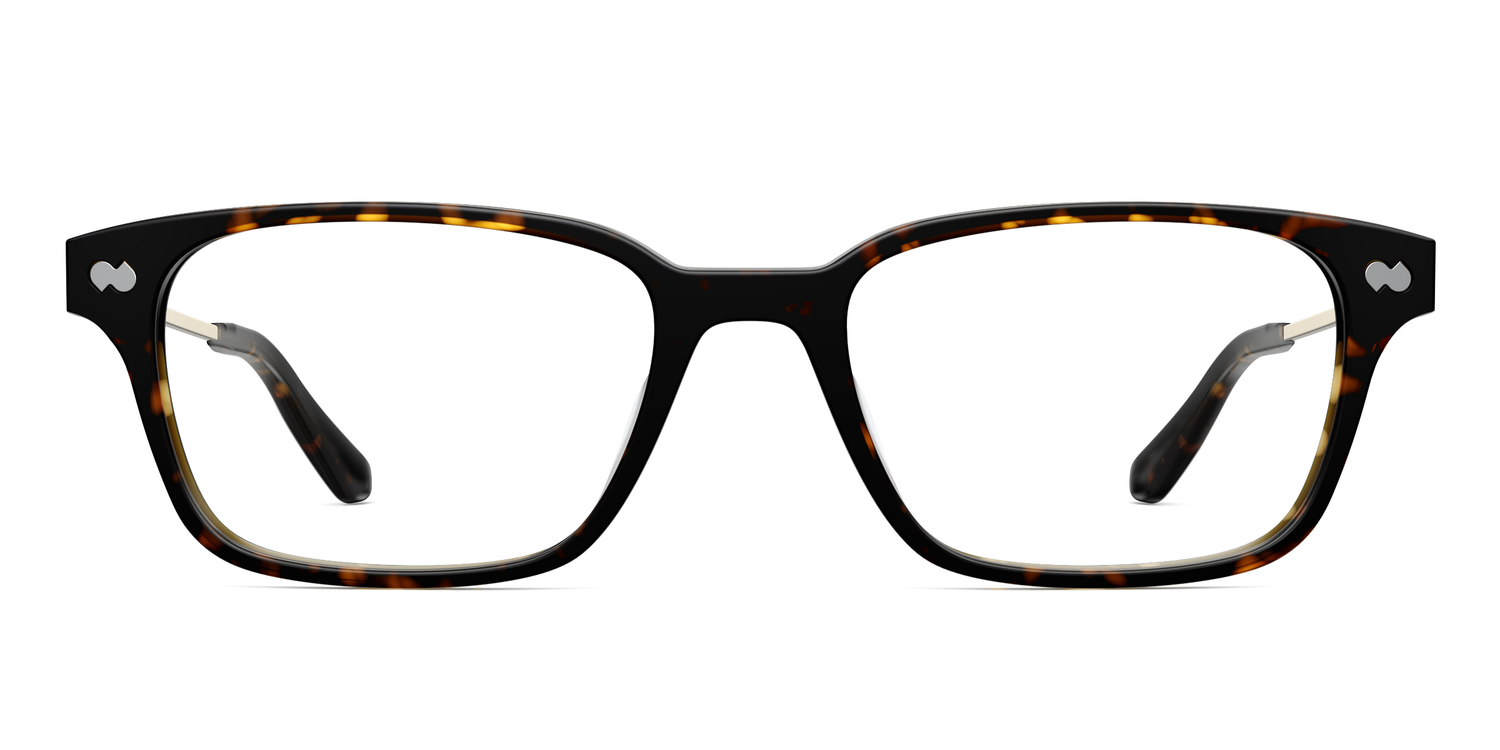 Mixed Material Tortoise Gold Metal