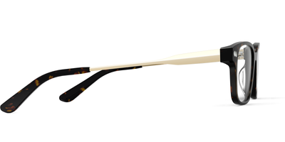 Mixed Material Tortoise Gold Metal