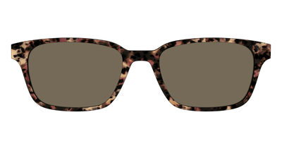 The Polarized Sienna Tortoise Sun Top - Front Top Thumbnail - Pair Eyewear