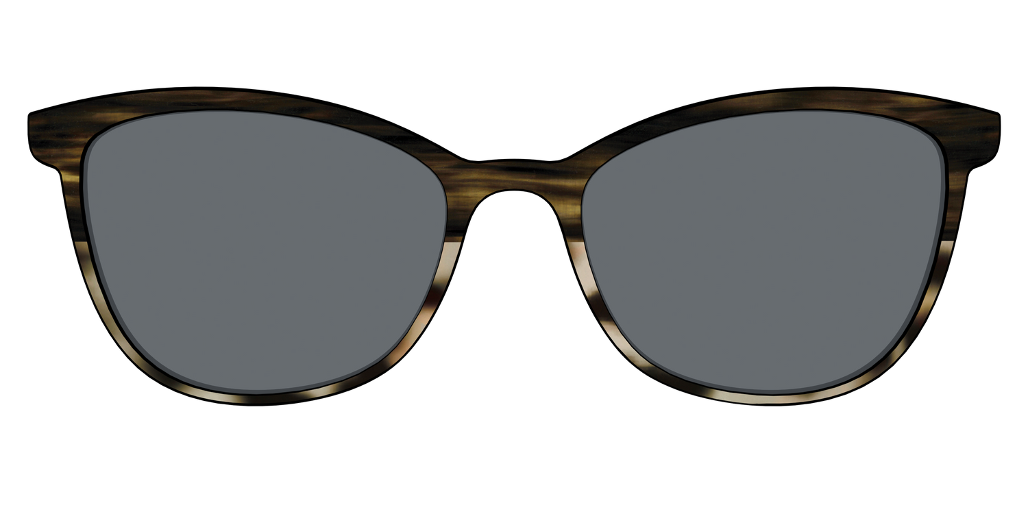 The Polarized Horn Tortoise Sun Top - Front Top Image - Pair Eyewear