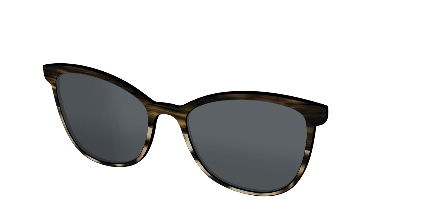 The Polarized Horn Tortoise Sun Top - Angle Top Image - Pair Eyewear