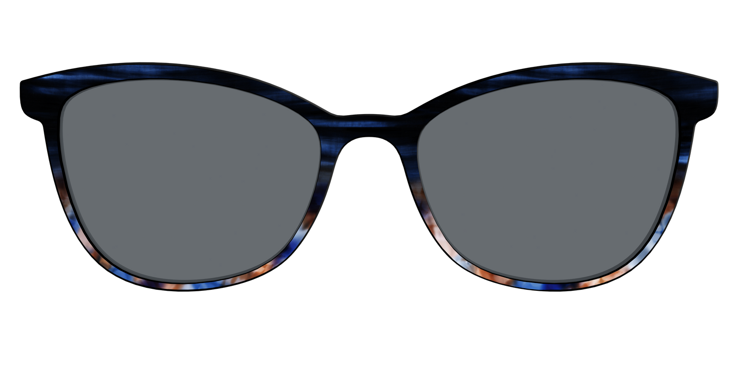 The Polarized Blue Horn Tortoise Sun Top - Front Top Image - Pair Eyewear