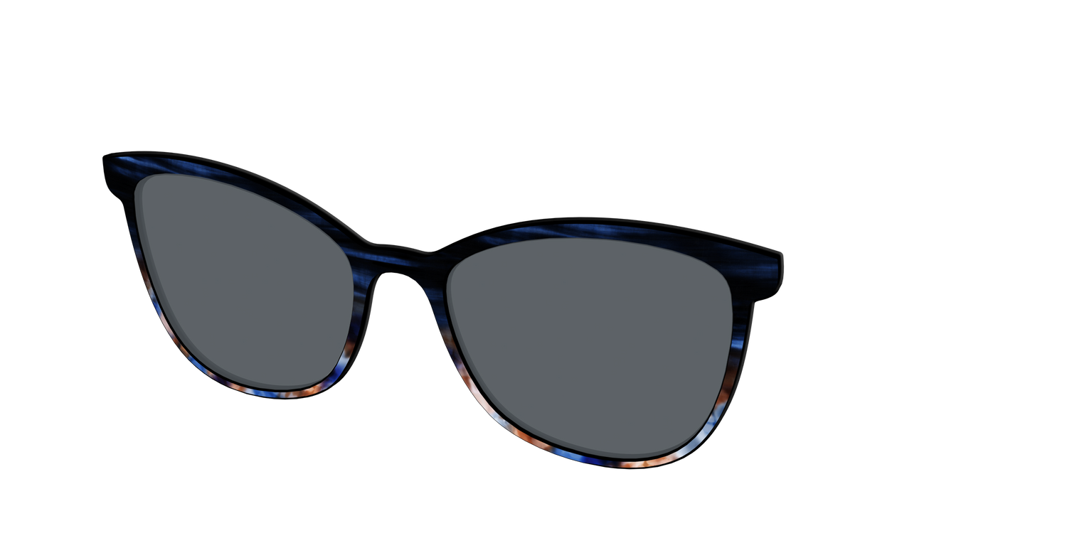 The Polarized Blue Horn Tortoise Sun Top - Angle Top Image - Pair Eyewear
