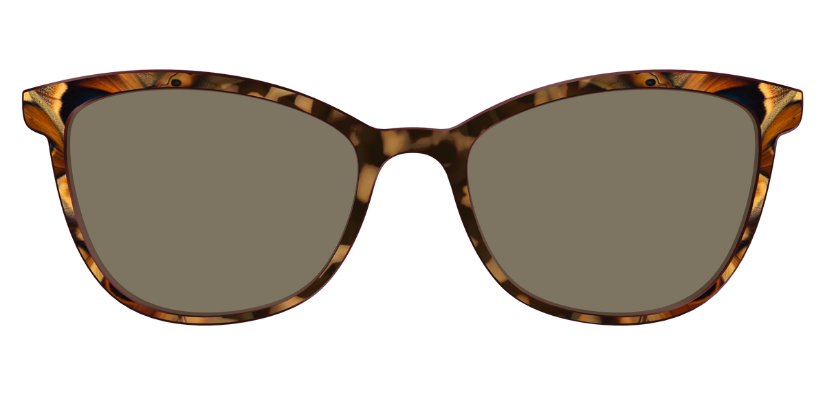 The Polarized Moth Wings Sun Top - Front Top Image - Pair Eyewear