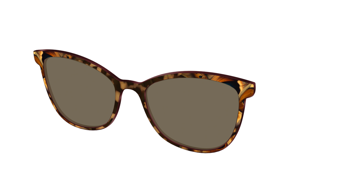 The Polarized Moth Wings Sun Top - Angle Top Image - Pair Eyewear