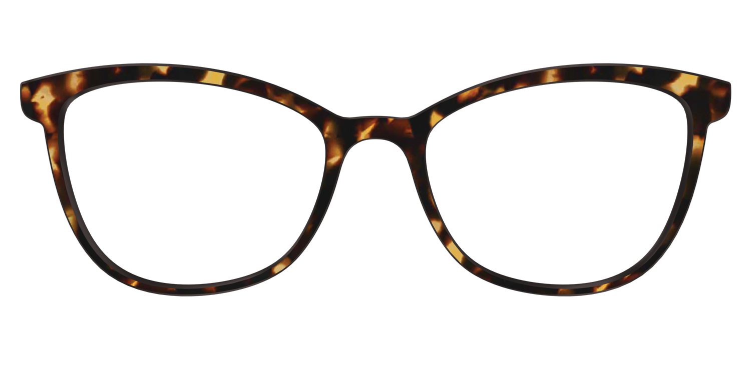 The Tortoise - Front Top Image - Pair Eyewear