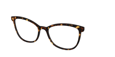 The Tortoise - Angle Top Thumbnail - Pair Eyewear