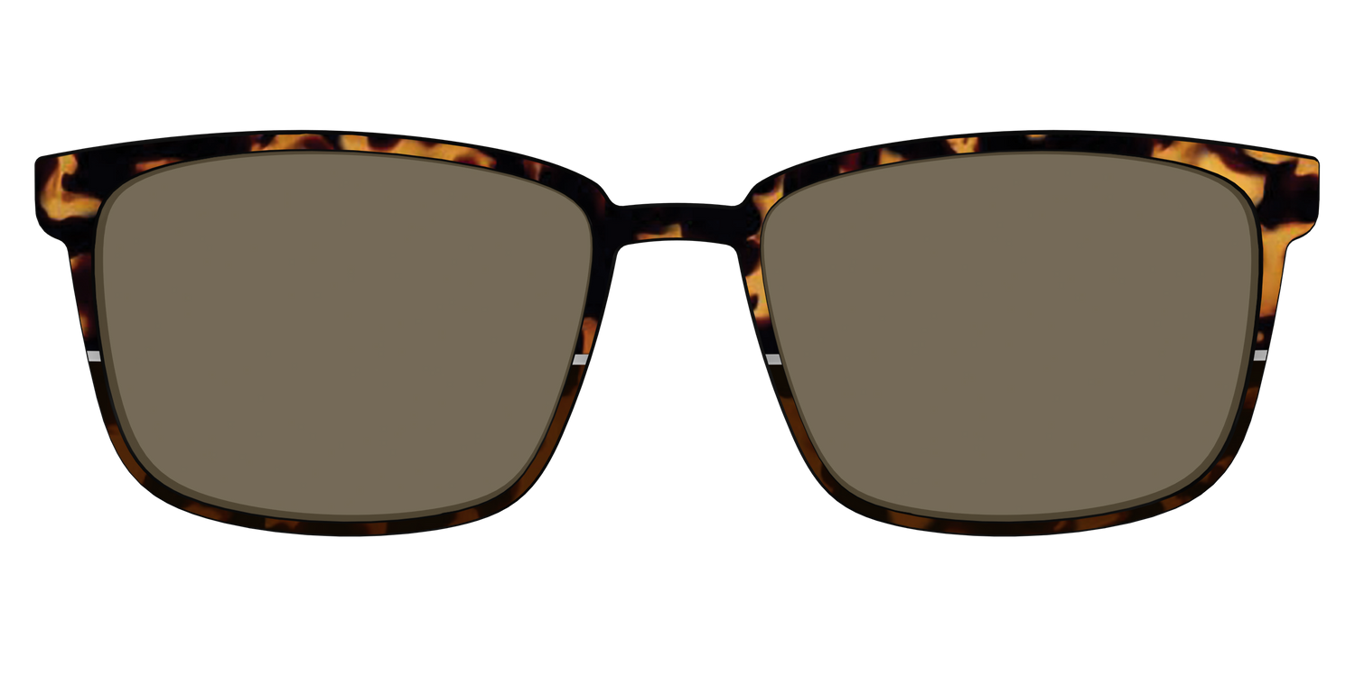 The Polarized Chic Tortoise Split Sun Top - Front Top Image - Pair Eyewear