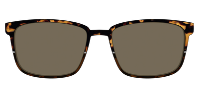 The Polarized Chic Tortoise Split Sun Top - Front Top Thumbnail - Pair Eyewear