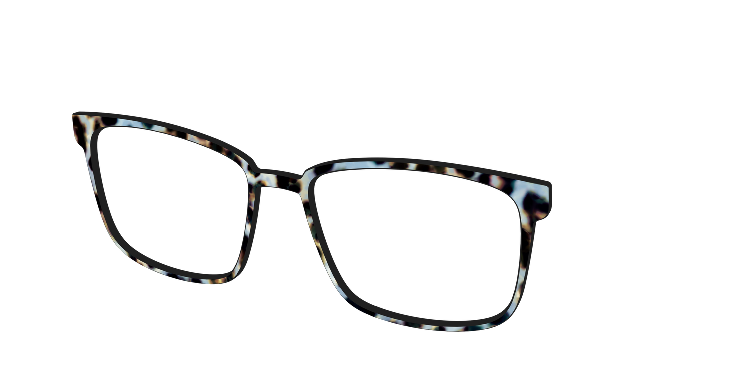 The Earl Grey Tortoise - Angle Top Image - Pair Eyewear