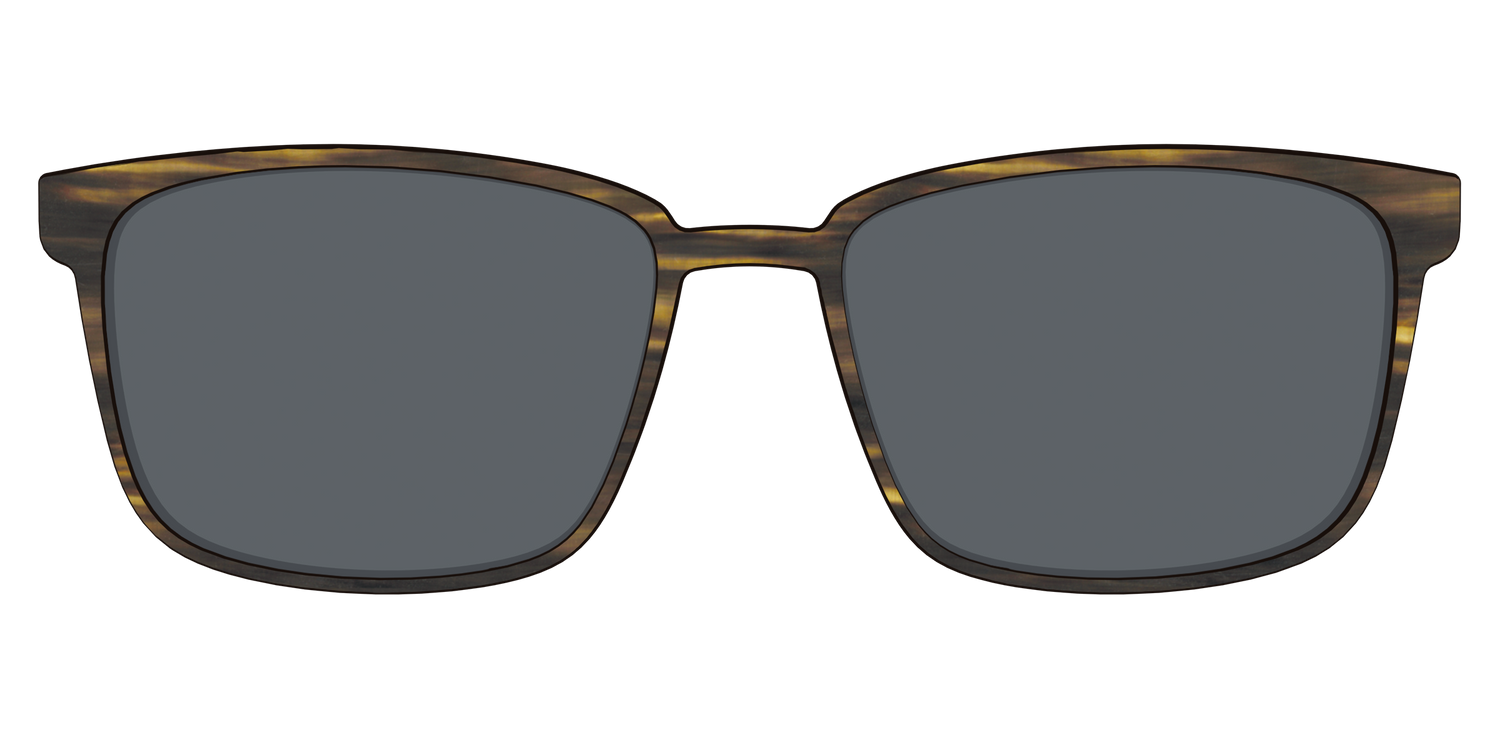 The Polarized Horn Sun Top - Front Top Image - Pair Eyewear