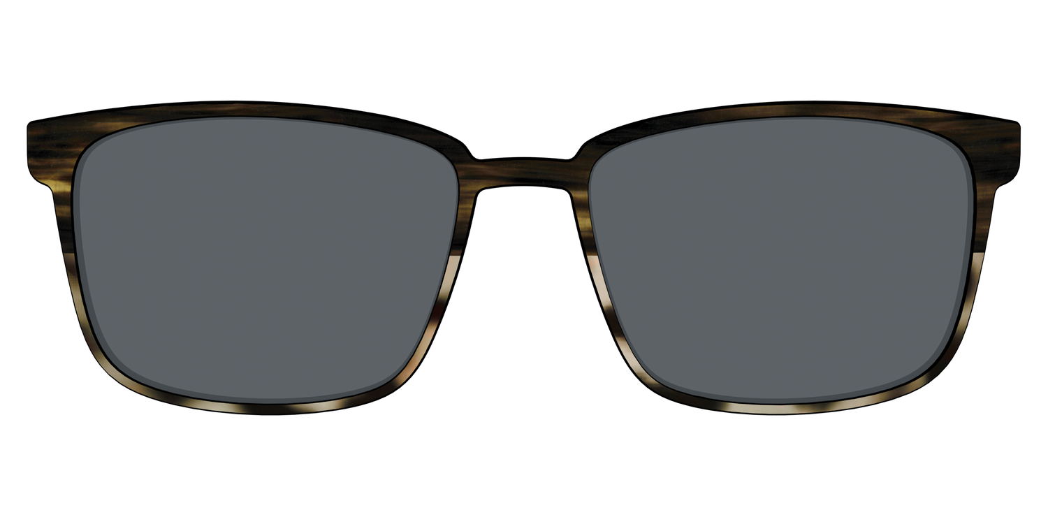 The Polarized Horn Tortoise Sun Top - Front Top Image - Pair Eyewear