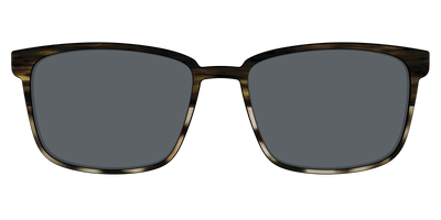 The Polarized Horn Tortoise Sun Top - Front Top Thumbnail - Pair Eyewear