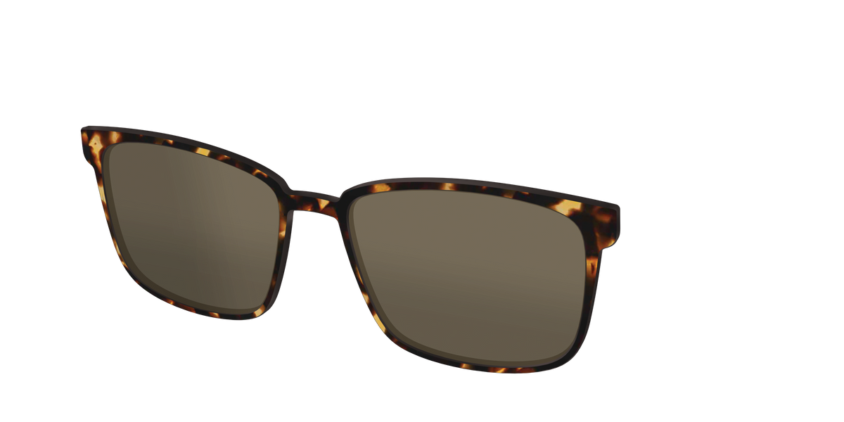 The Non-Polarized Tortoise Sun Top - Angle Top Image - Pair Eyewear