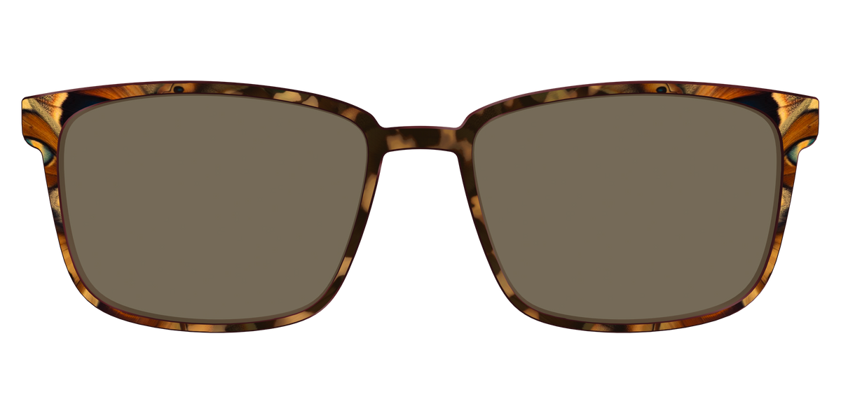 The Polarized Moth Wings Sun Top - Front Top Image - Pair Eyewear