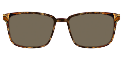 The Polarized Moth Wings Sun Top - Front Top Thumbnail - Pair Eyewear