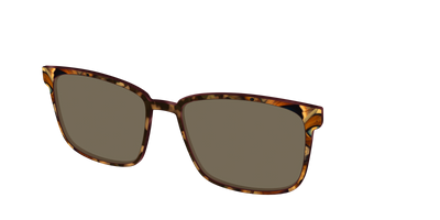 The Polarized Moth Wings Sun Top - Angle Top Thumbnail - Pair Eyewear