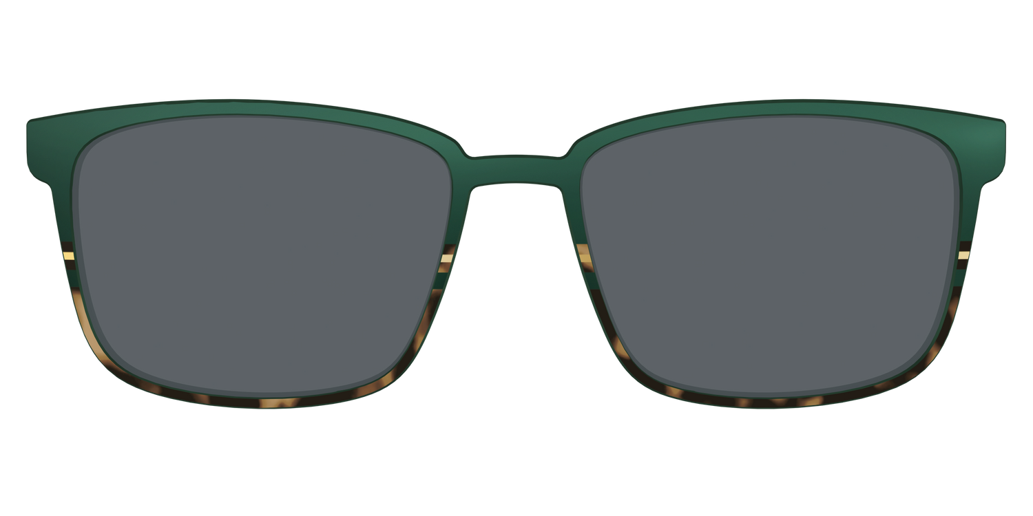 The Polarized Spruce Tortoise Sun Top - Front Top Image - Pair Eyewear