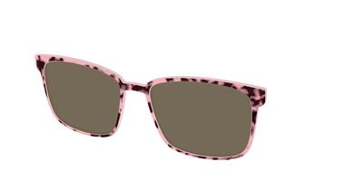 The Polarized True Love Tort Sun Top - Angle Top Thumbnail - Pair Eyewear