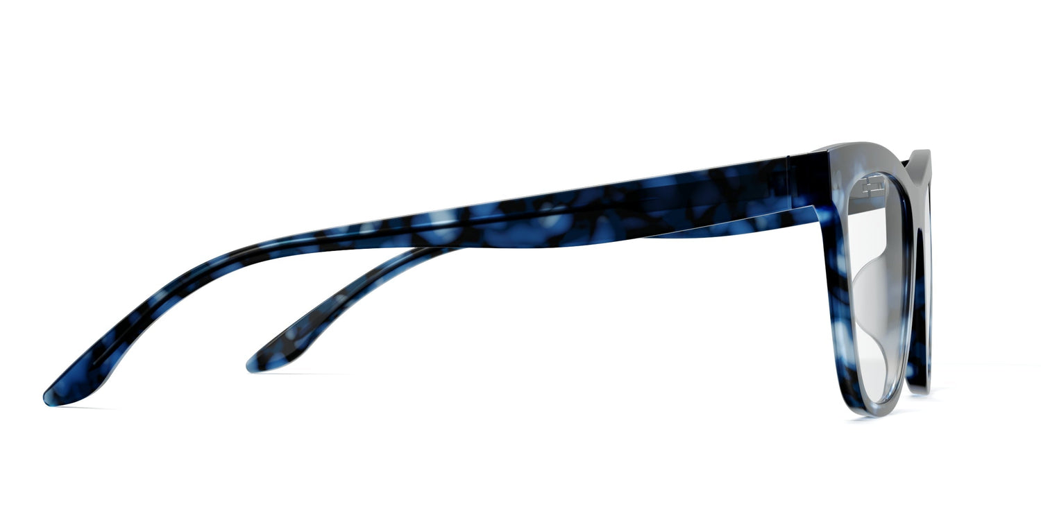 blue tortoise